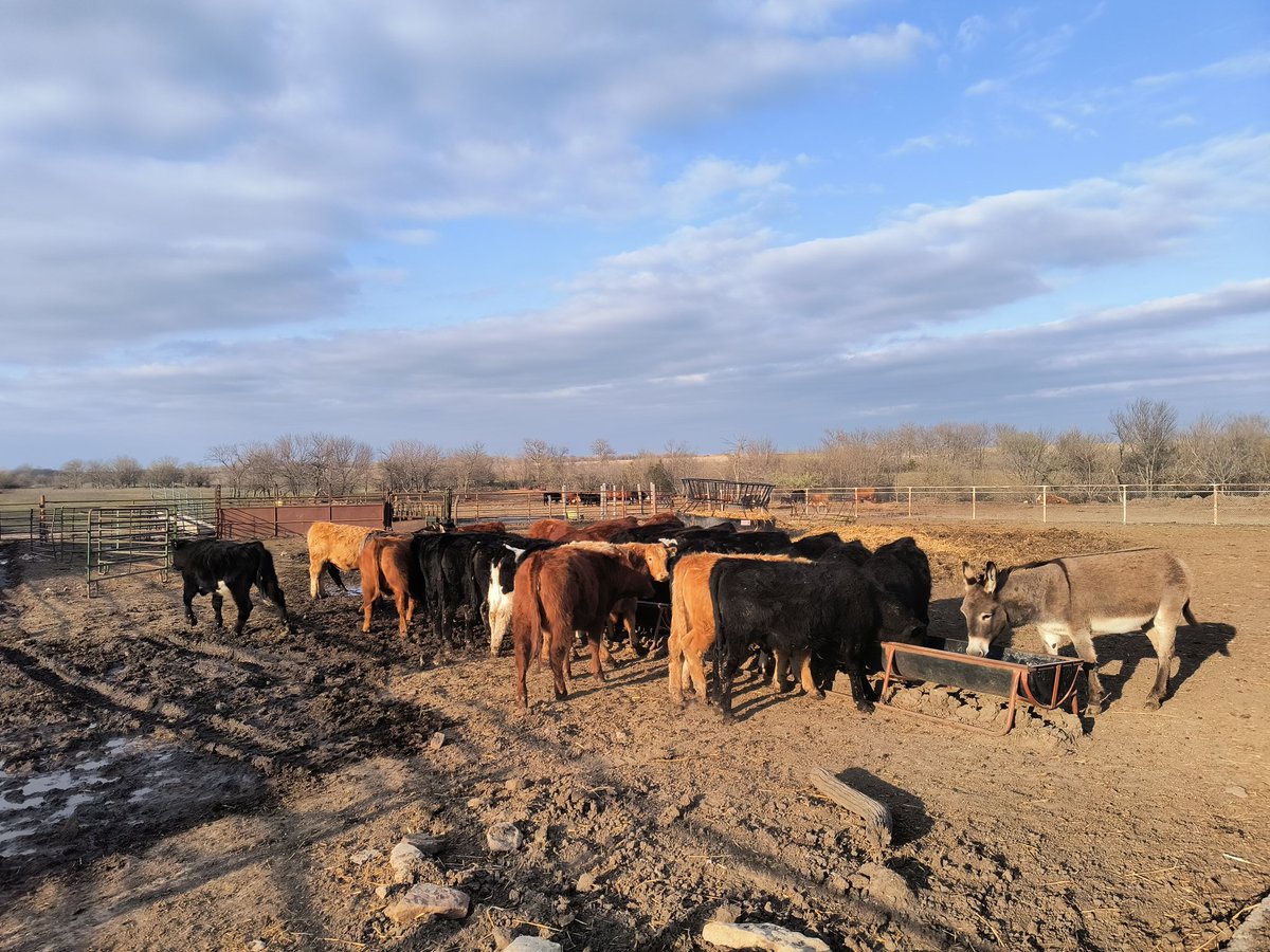 Amanda Taylor tweet media