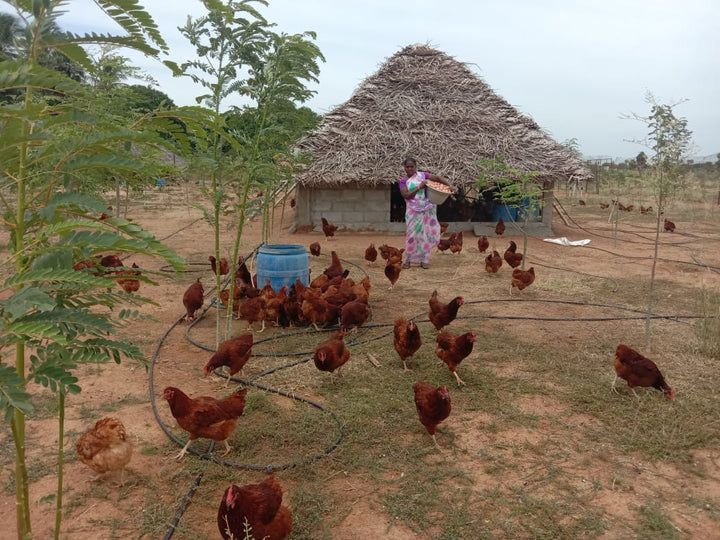 Apoorv Sharma tweet media