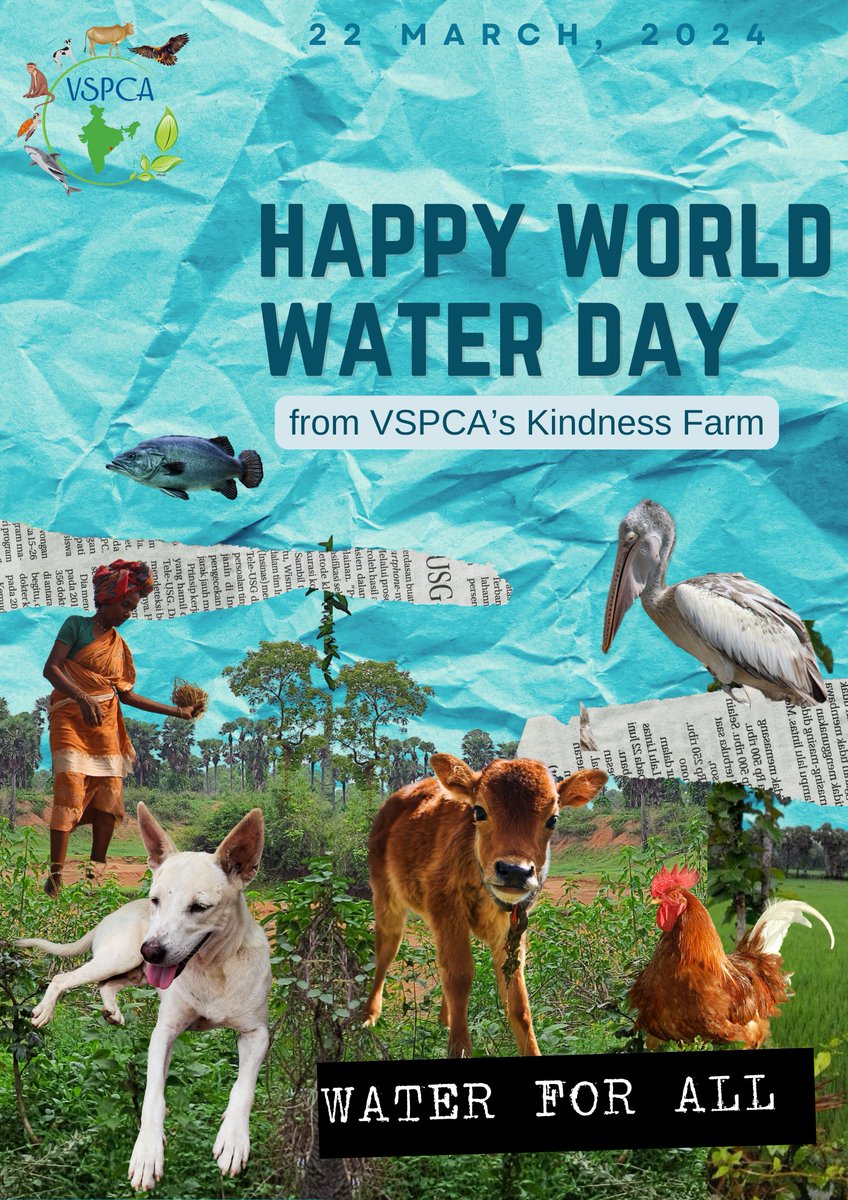 Here's to a world where every drop counts! Happy World Water Day! 💧🌍 #WaterForAll