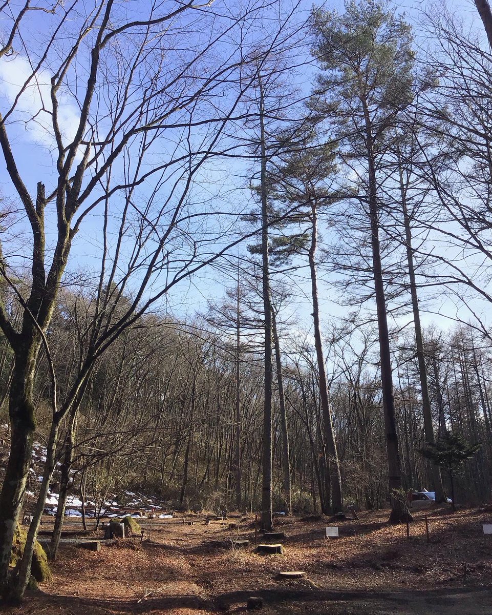 朝の雪降りから天候回復☀️
これから焚火の時間ですよ☺️

#キャンプ #アウトドア #オートキャンプ #キャンプ場