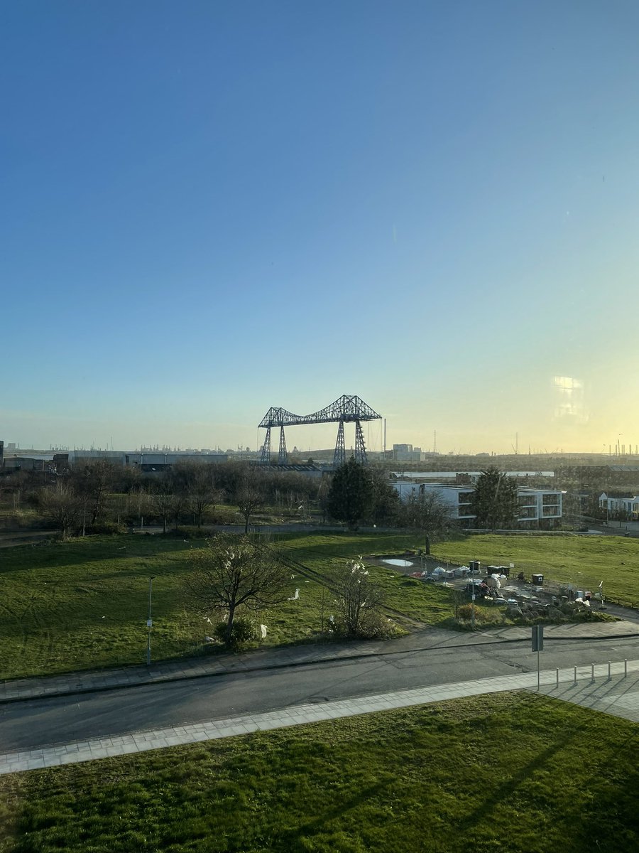 Lewis Rafferty tweet media