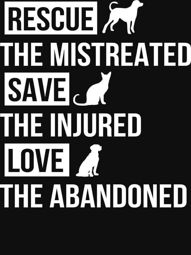 'Adopt, don't shop: inspiring stories of animal rescue and adoption.'
#RescueAnimalsAreTheBest
#AdoptedNotAbandoned
#RescuePaws
#AdoptionIsLove
#RescueFamily
#FosterCare
#AdoptionWin