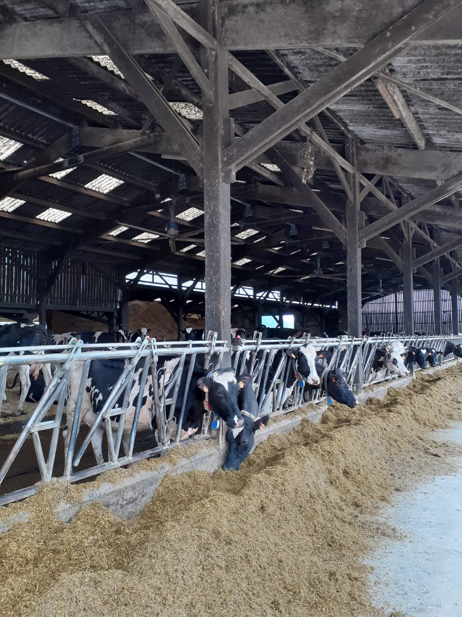 Très belle matinée avec @Philippe__Henry sur une ferme pour mettre en avant la contribution de credits carbone à des agriculteurs via un contrat tripartite entre la @BanquePopulaire @Solenat_ et carbone agri. @paysdelaloire encourage les démarches carbone pour les agriculteurs.