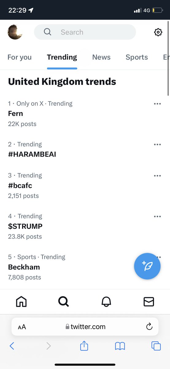 Sarah Balchin tweet media