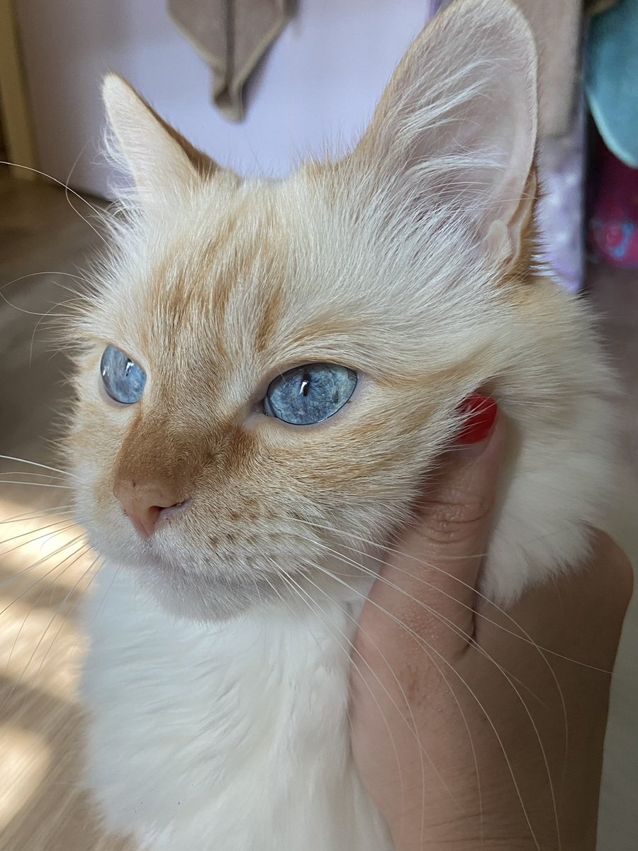 สุดหล่อประจำซอย