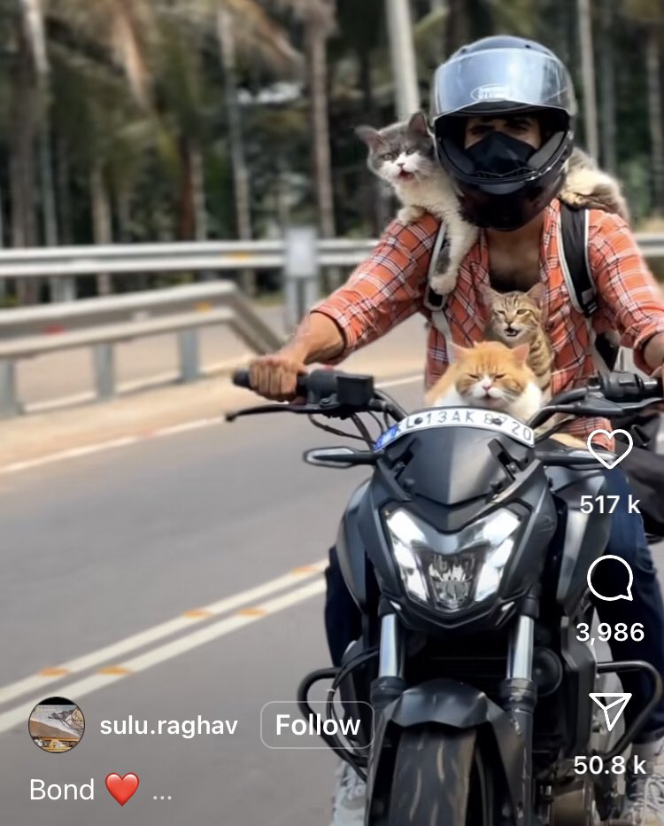 Pl check on this cat owner who is repeatedly taking cats on bike in traffic, without securing in cat carrier. Owner was earlier warned by Harish & also told about animal law. Link to Instagram: instagram.com/reel/C4fFaK_JS…. P help the cats @HarishK07108327 , @pfaindia @AHVS_Karnataka