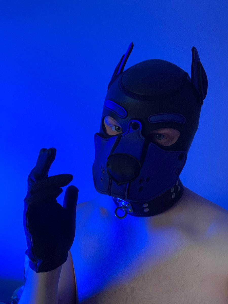 Pup Potato Ferrum tweet media