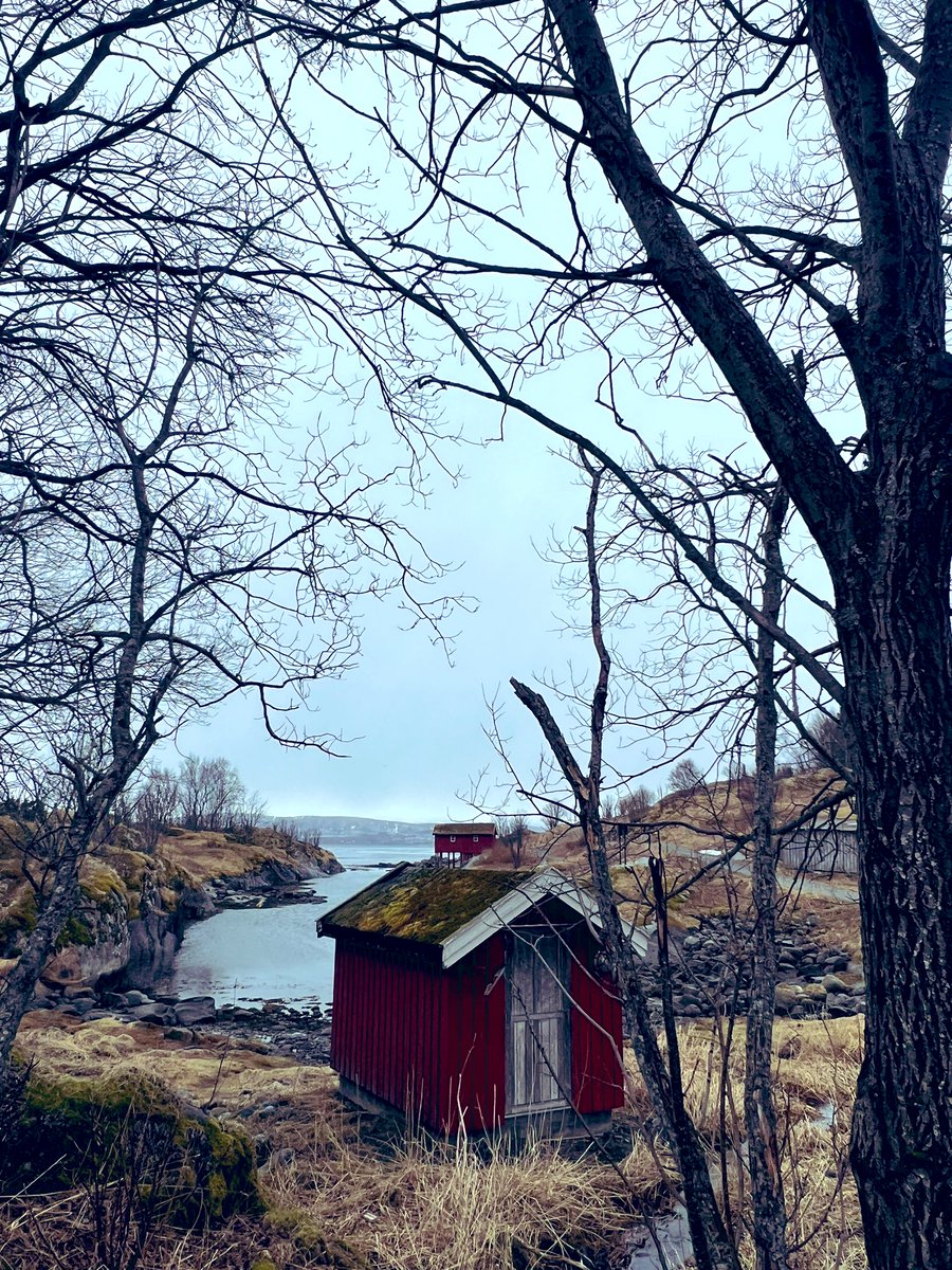 thebrownhat's tweet photo. #4photos day 9 crossed #ArticCircle #Bodo stop - the Nordic Kilmarnock! #Norway #ScandiMoon #FjordFiesta https://t.co/G9BR4oqz5B