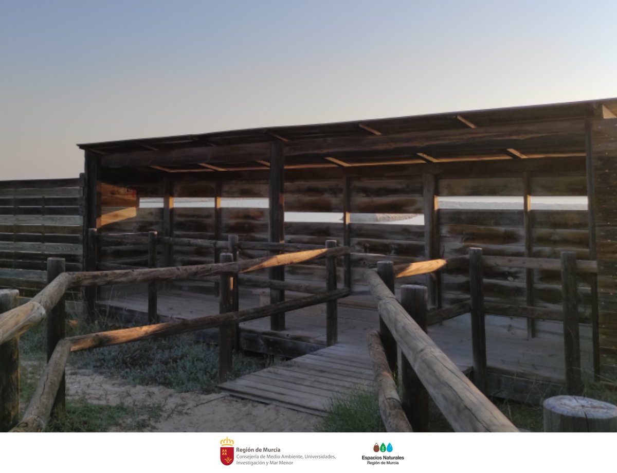 SalinasSPedroPR's tweet photo. Desde los #Observatorios de #SalinasSPedroPR tenemos el privilegio de contemplar en silencio a la #Avifauna del #EspacioNaturalProtegido 🦩 🦆
Pregunta al #ServicioDeInformación del #CentroDeVisitantes Las Salinas, dónde encontrar los mejores observatorios durante tu #Visita https://t.co/WY5EFy93vi