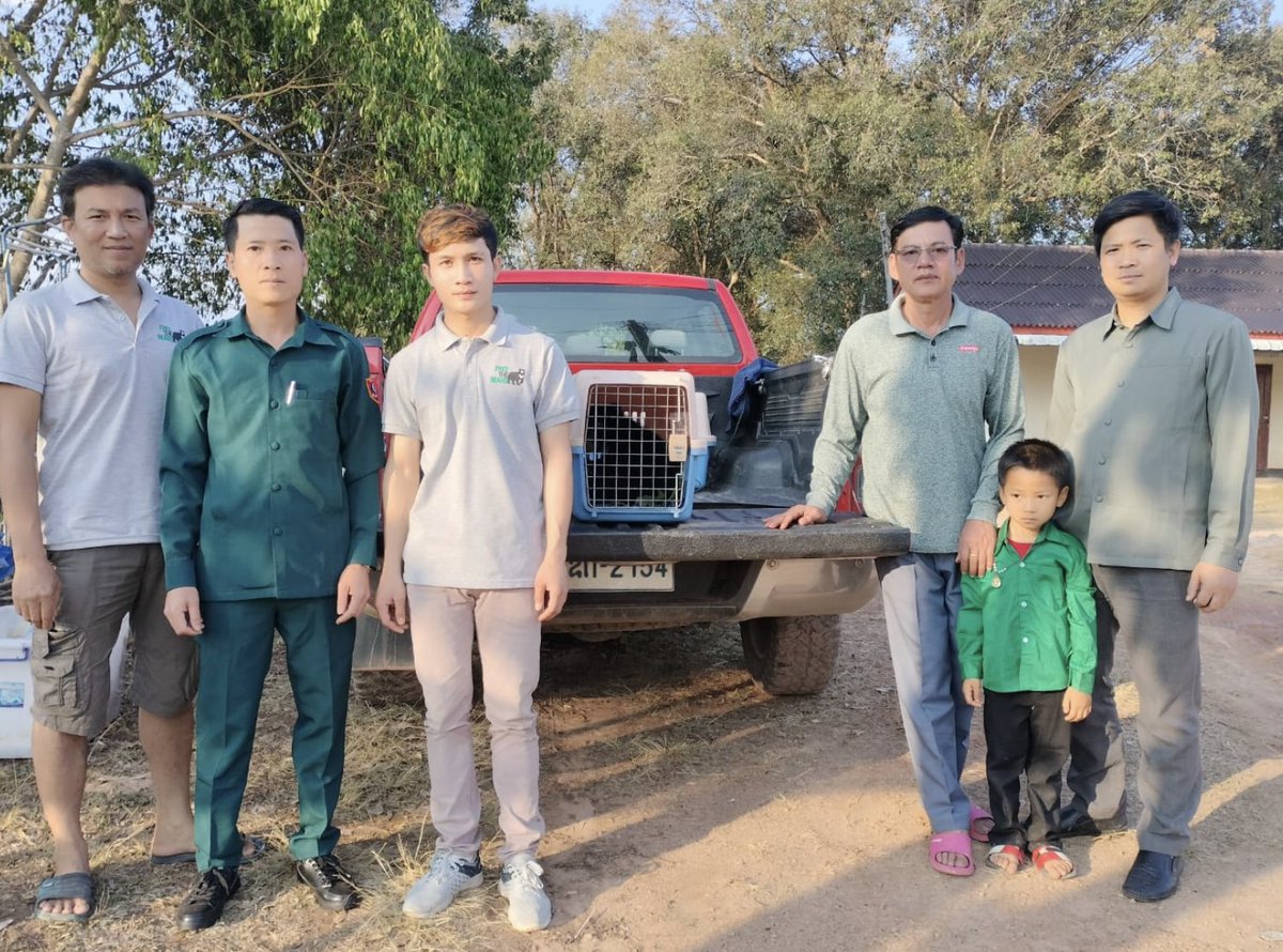 BREAKING NEWS, LAOS: After rescuing 16 orphaned moon bear cubs just 2 days ago, our team is on the road with 2 more cubs confiscated by our Laos government partners! Please help us, Be A Bear Carer: freethebears.org/pages/bear-car…