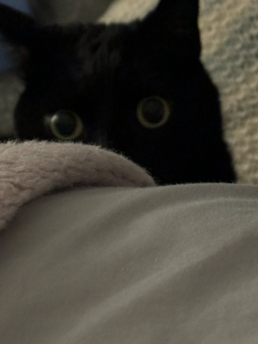 You are awake now, yes?