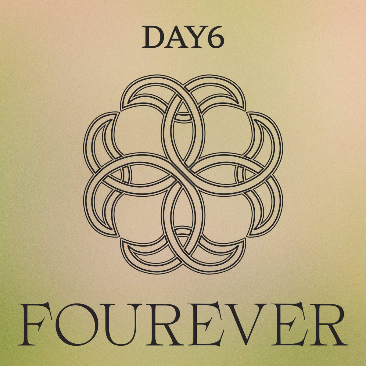 our 4 leaves clover, our lucky DAY6🍀