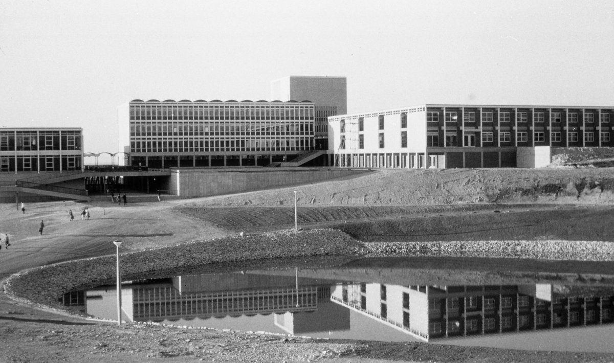 OPEN ACCESS💥 Doug Munro sheds light on the state of Political Science in the 1960s in the new Australian universities. @Flinders onlinelibrary.wiley.com/doi/10.1111/aj…