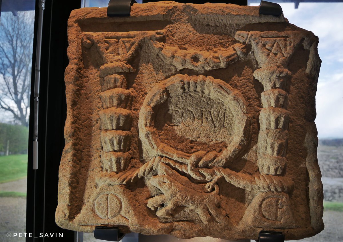 A rather fancy building stone featuring the boar of the 20th legion found at Corbridge south of #HadriansWall  the central text shows the 6th Cohort, on either side at the top is the abbreviated name of Tullius Capito #RIB1167