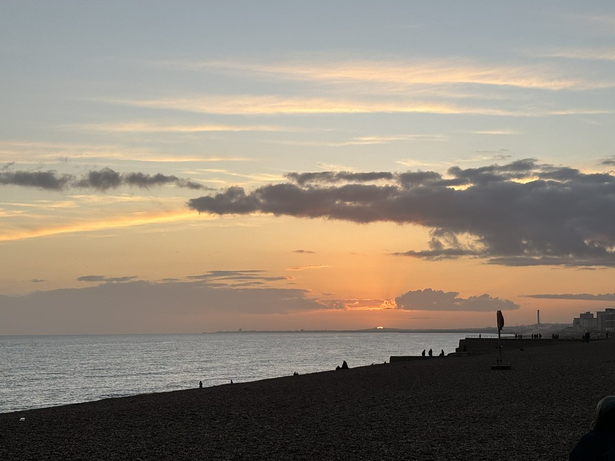 Dr. Paula Mommersteeg tweet media