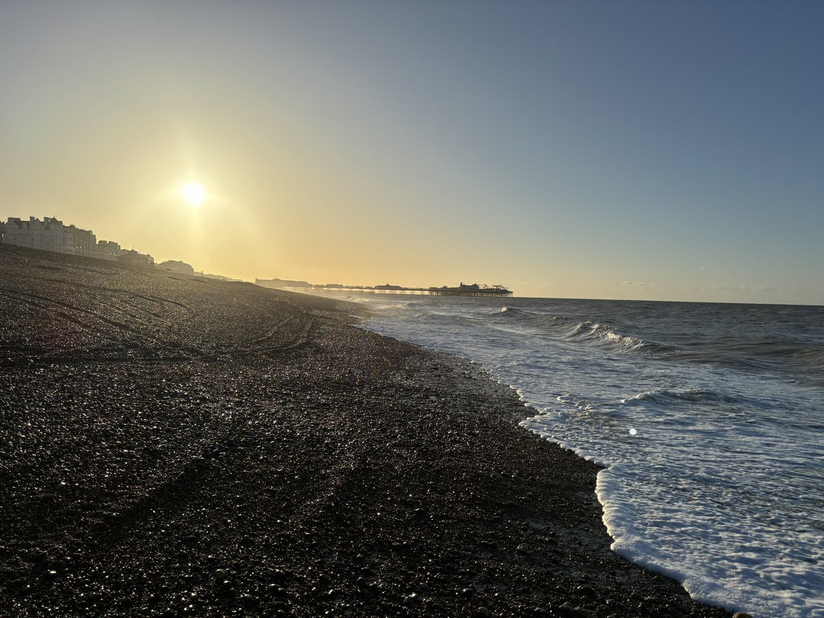 Dr. Paula Mommersteeg tweet media