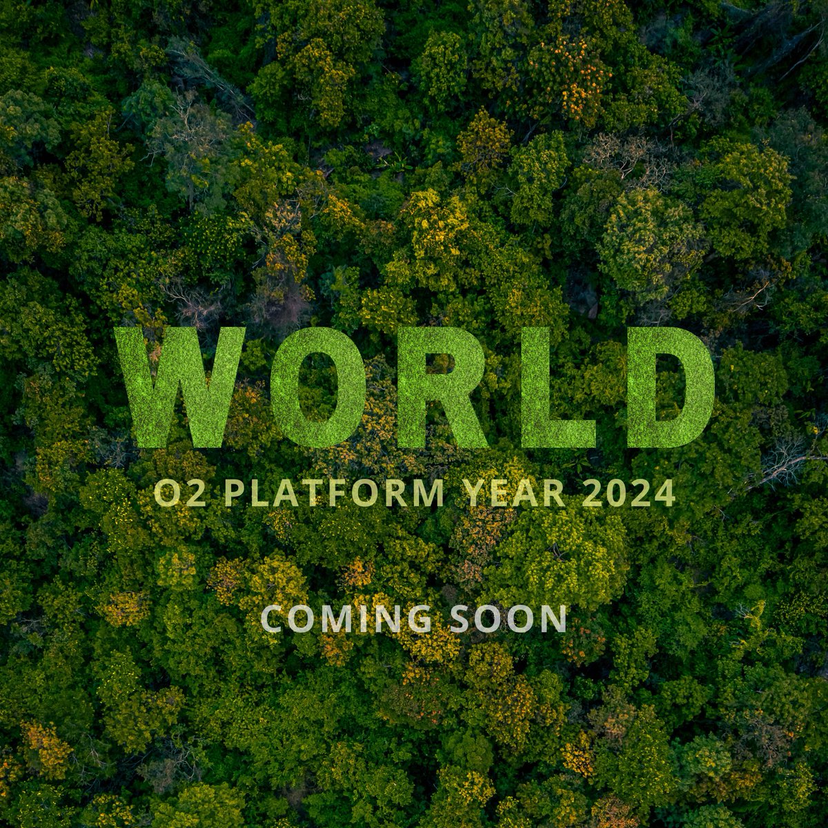 Project O2 🌳 tweet media