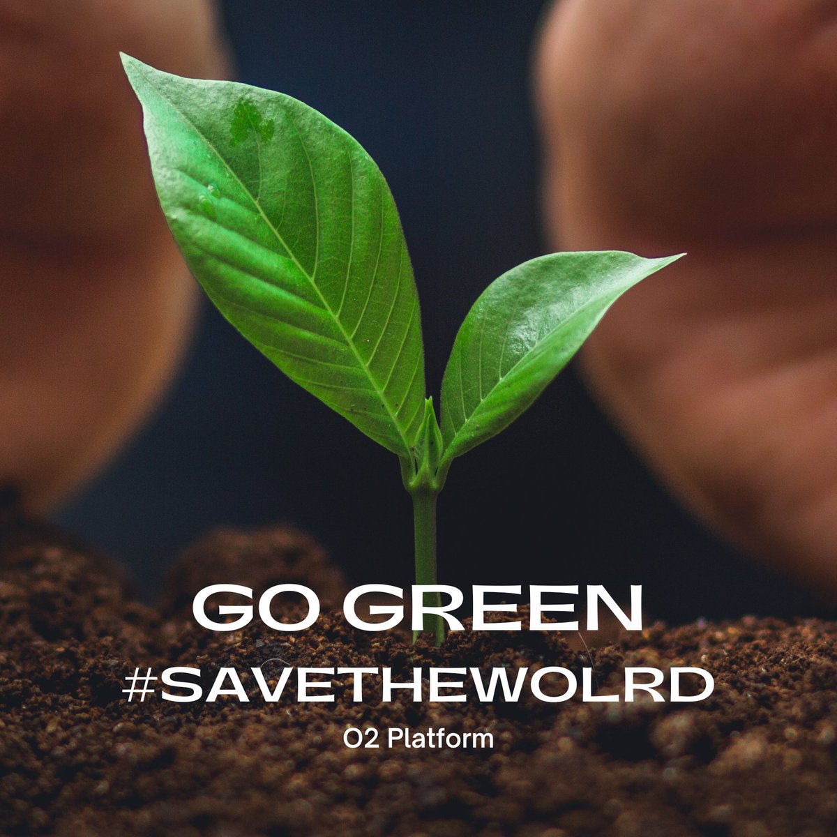 Project O2 🌳 tweet media