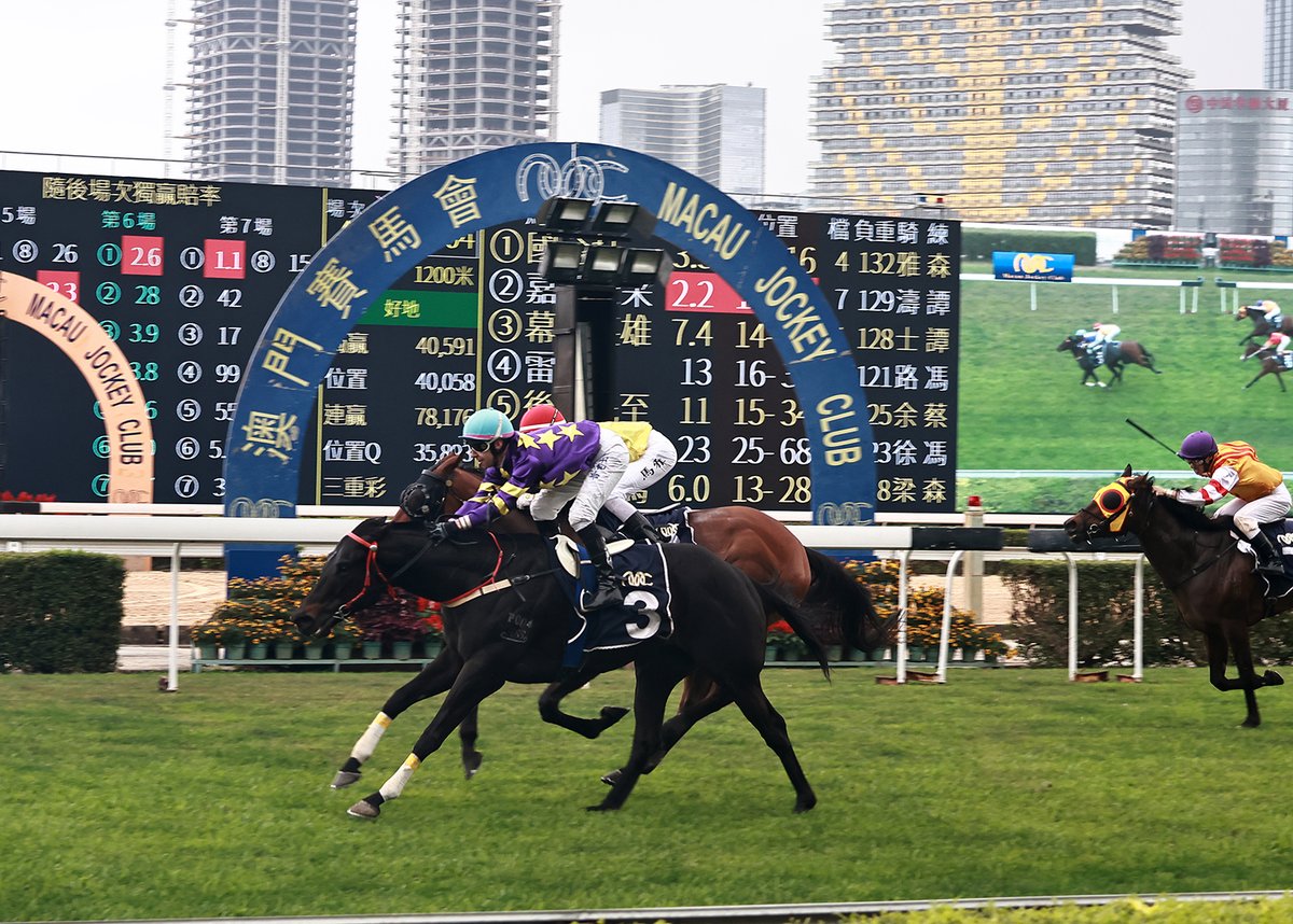 Macau Jockey Club tweet media