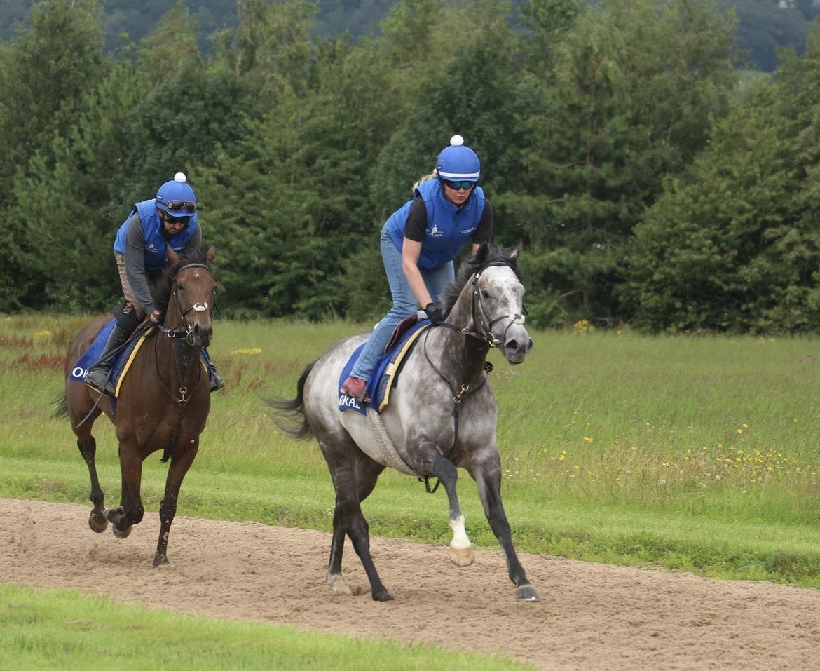 🙌 He’s A Gentleman is back in action this afternoon. 

He will run at @DoncasterRaces (2:25) & has been drawn in stall 13. 

The five-year-old gelding will be ridden by @jasonhart13. 

#TeamMHS #MORC