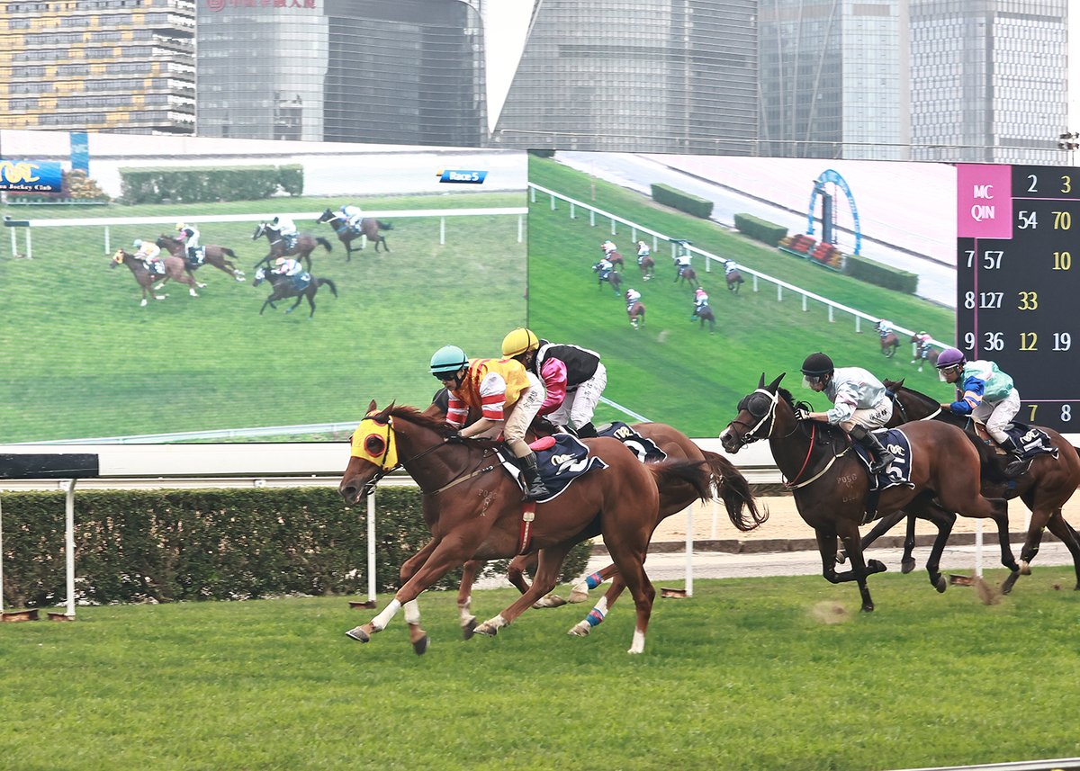 Macau Jockey Club tweet media