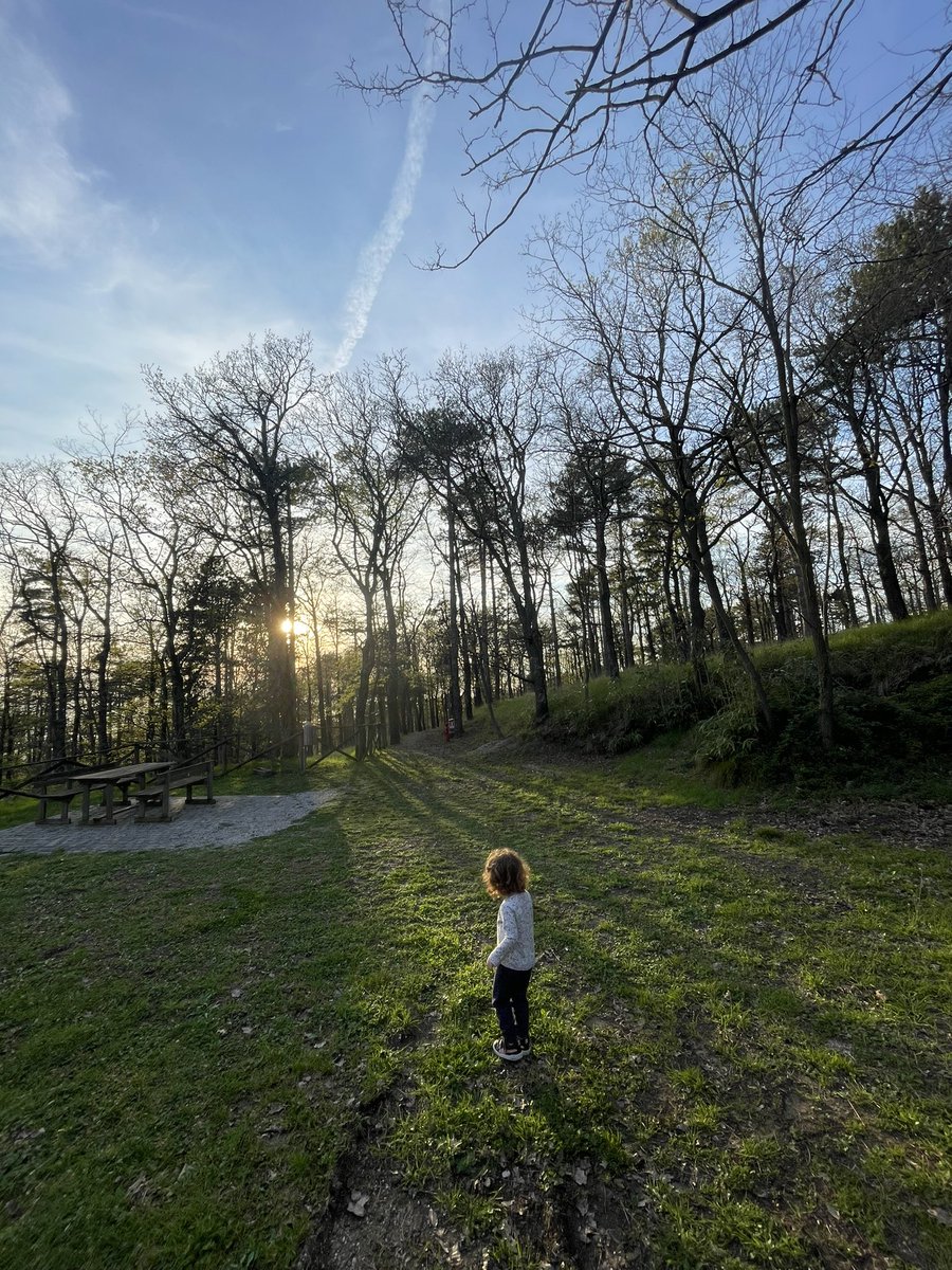 One moment you are making budget calculations for your lab and the moment after you find yourself chasing insects and birds with a 3 yo after childcare pickup: that’s how your relaxing Fridays look like if you are an #AcademicMom 😜 @Momademia