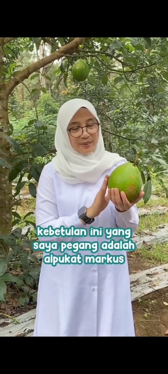 Iki ndok Banyuwangi onok