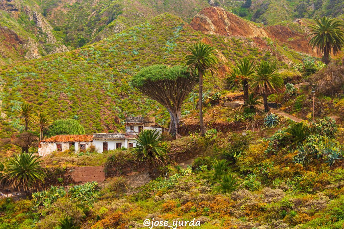 Un pasado no muy lejano 🇮🇨 🏴󠁧󠁢󠁳󠁣󠁴󠁿 Taganana, Tenerife 📸Jose_yurda #vendevisitaatenerife #tulugardeescape #DescubreTenerife #islascanarias #Tenerifeesvida #tenerife