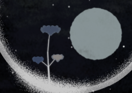 palindromes_io's tweet image. 🌜It's a peaceful night for our #BitcoinBonsai seedlings. Their diurnal/seasonal cycles are #ChainSynced to the bitcoin blockchain so that, at any given time, they will always appear in the same state for all viewers around the world! ☀️🌜 ... ❄️⛅️☀️🍂❄️