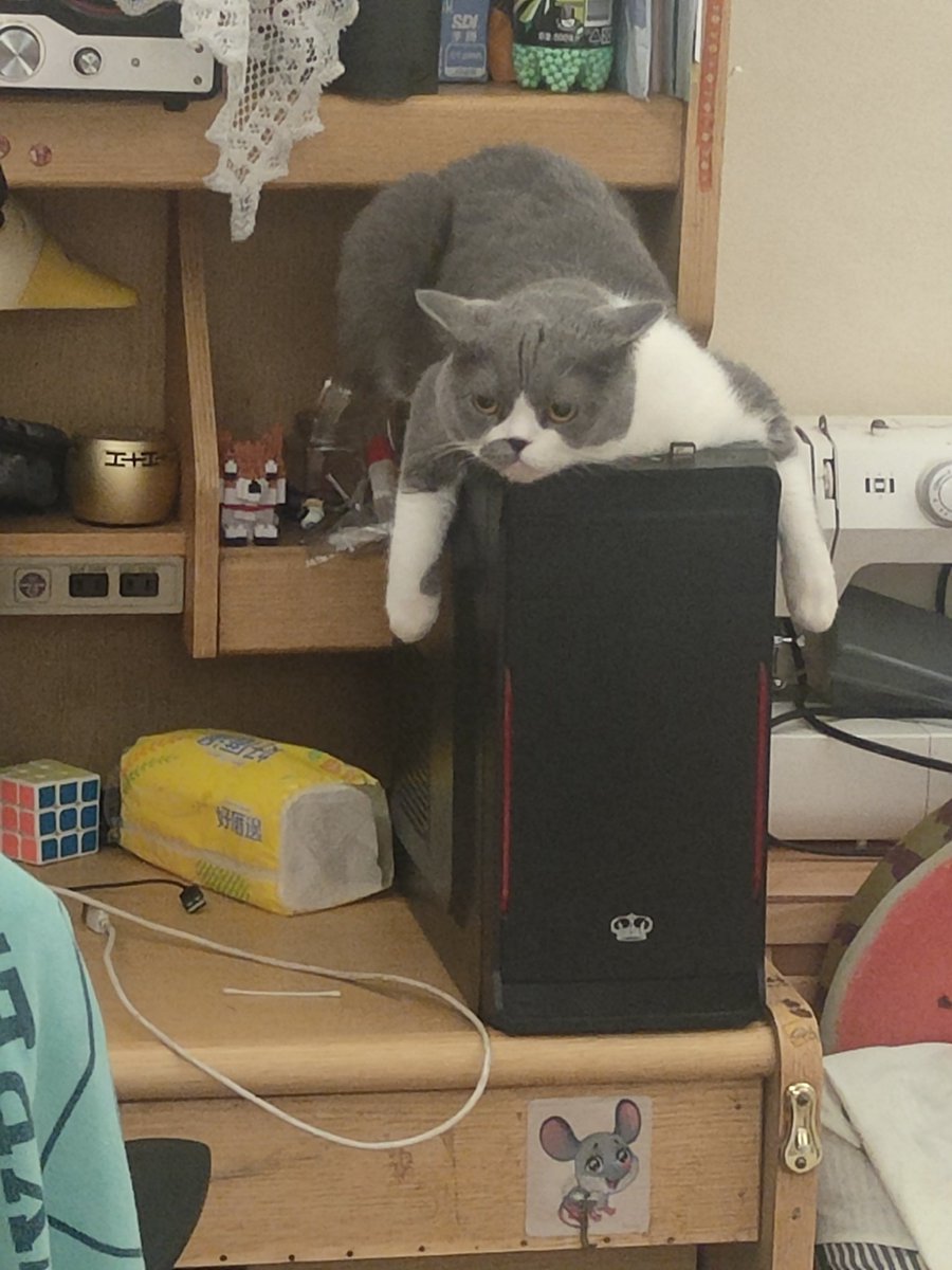 這位大姐，我只是想玩個電腦，不用那麼兇的盯著我吧😅😅😅