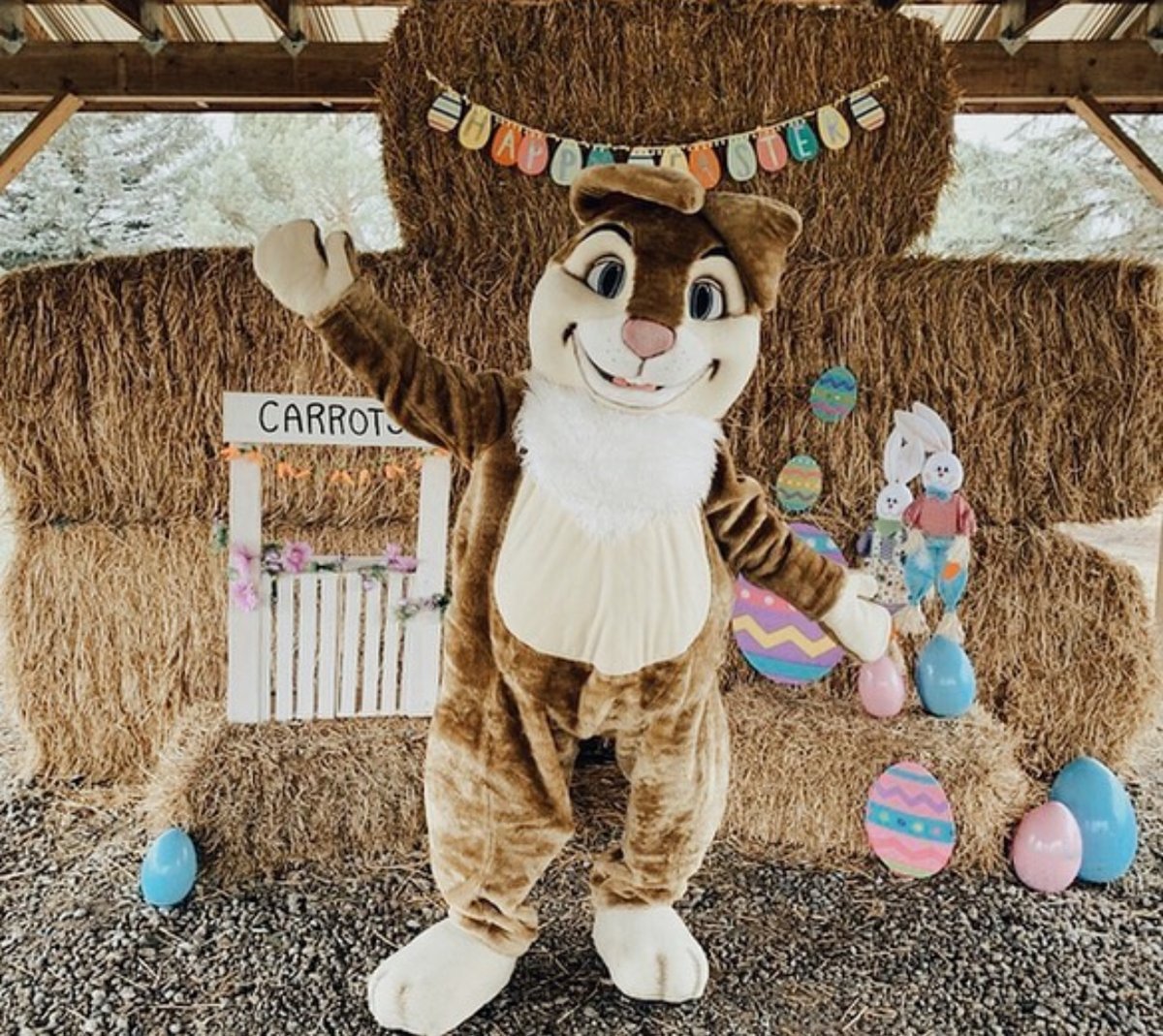 Are you an egg hunt egg-spert? Embark on an egg-stra egg-citing adventure at the Brooks Farms Easter Fest! 🐰🥚

🗓️: March 23, 24 &amp; 29 to April 1

For more details, and more Easter events in #DurhamRegion, visit bit.ly/4arde0e.