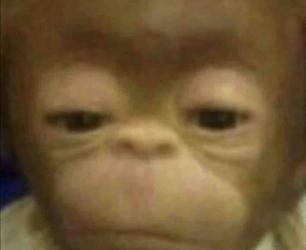 Cuando me despiertan que porque disque ya mimi mucho.