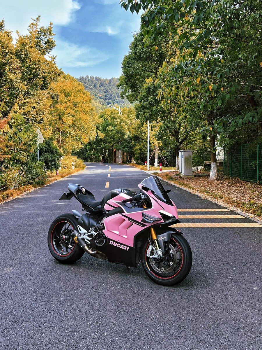 Cc6Lin's tweet image. 私を愛してくれているファンちゃんです。🏍