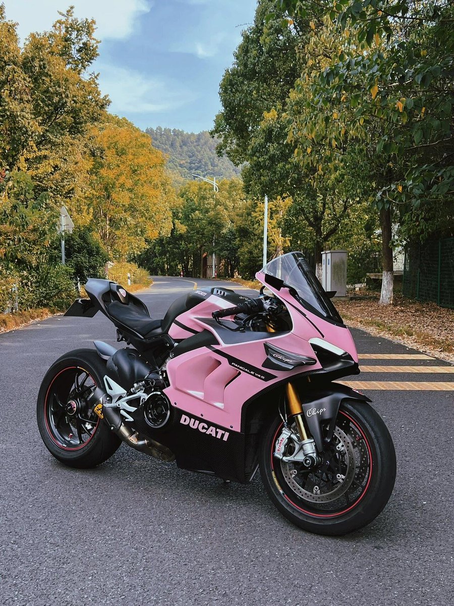 Cc6Lin's tweet image. 私を愛してくれているファンちゃんです。🏍