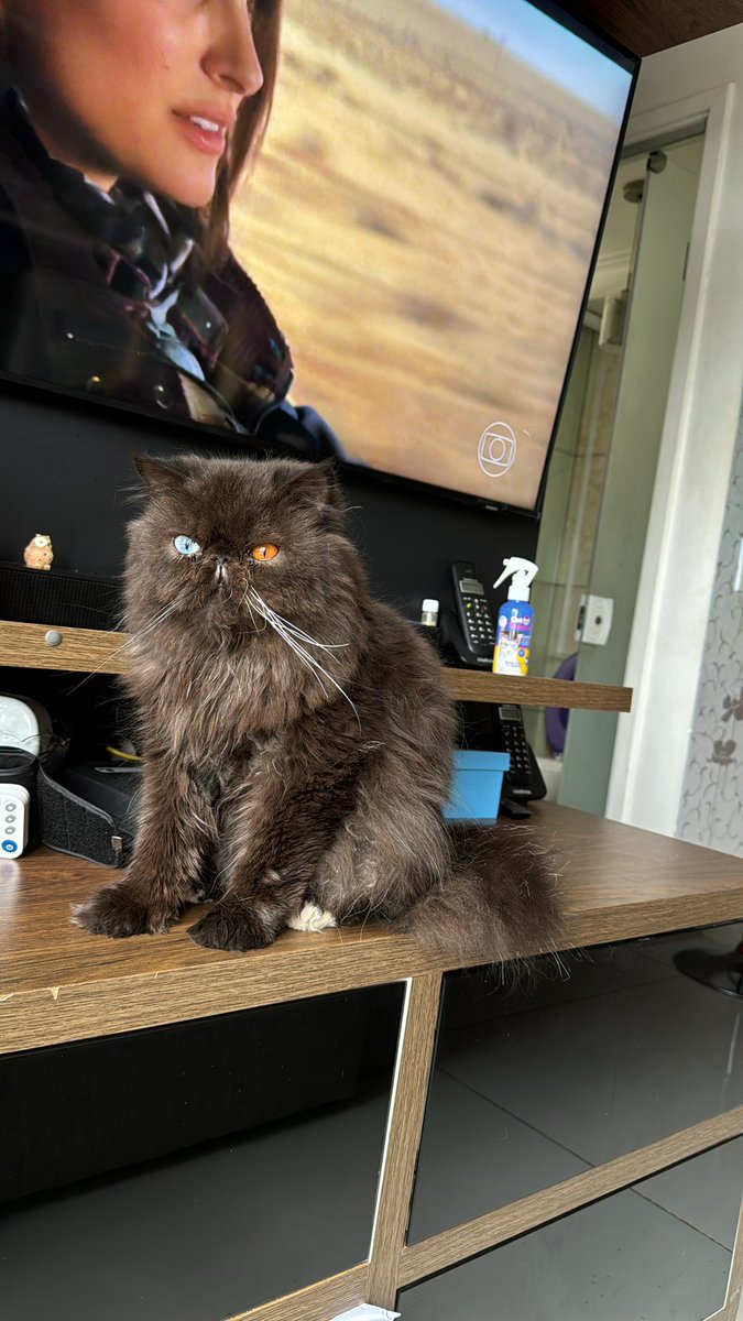 Jeferson Silva (@piramo36) on Twitter photo 