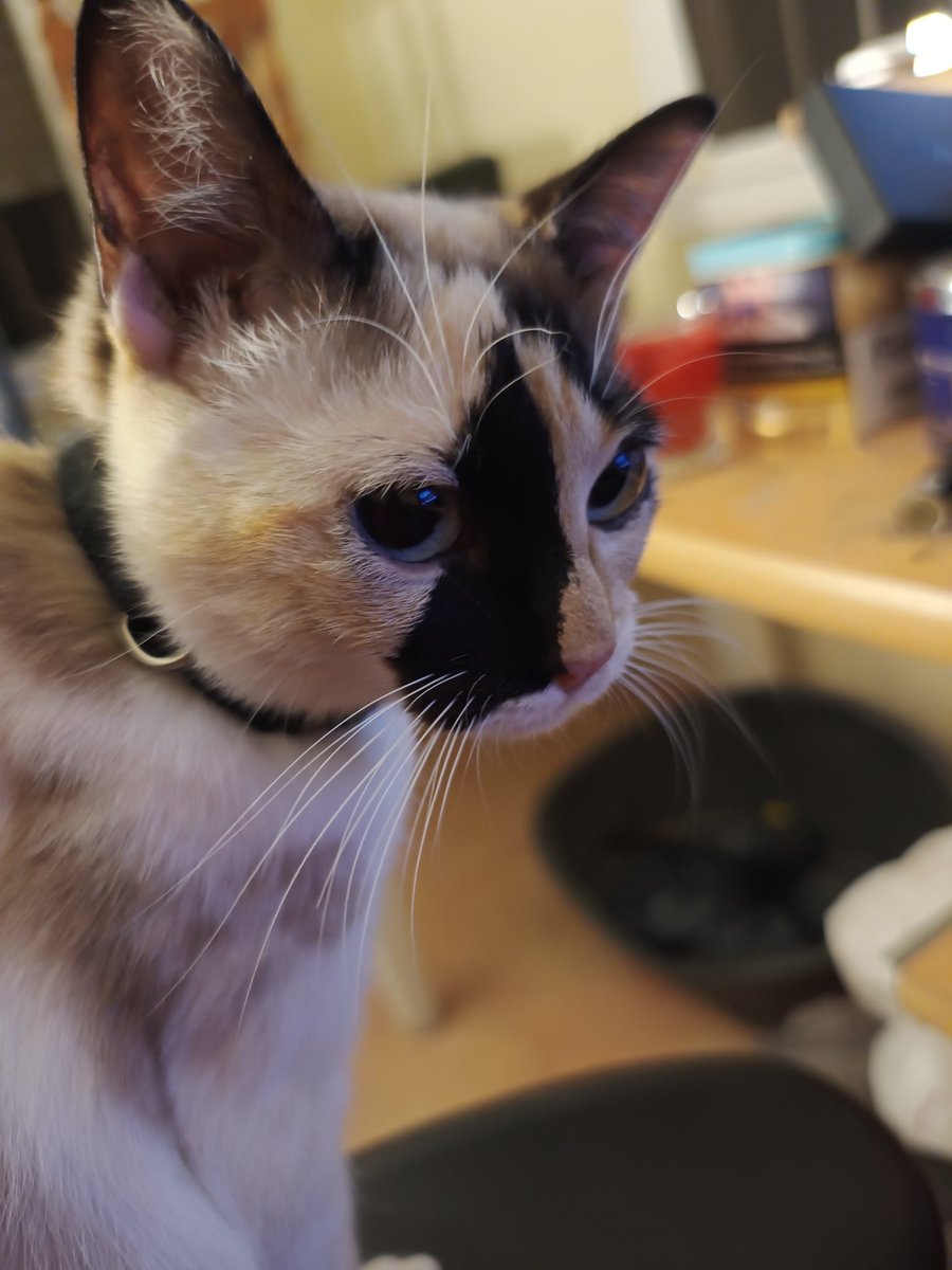 Robe el NPC tweet media