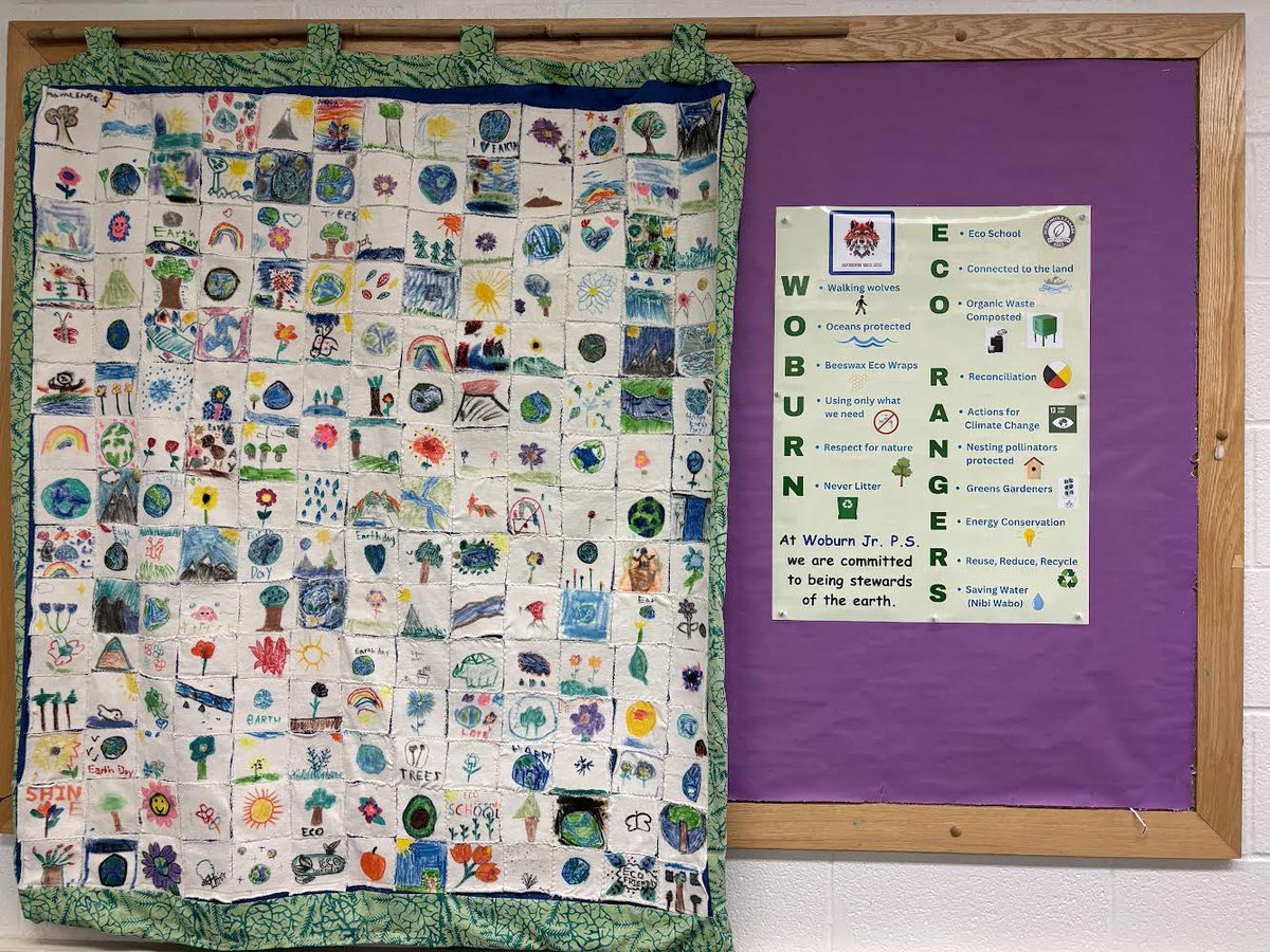 woburndonaldson's tweet image. We are really proud of our collaborative effort to finish creating our #EcoCode for @WoburnJunior. Last year we finished our EcoQuilt, and this year we worked on our poster. We are stewards of the Earth🌎! @EcoSchoolsCAN @EcoSchoolsTDSB @WoburnEco