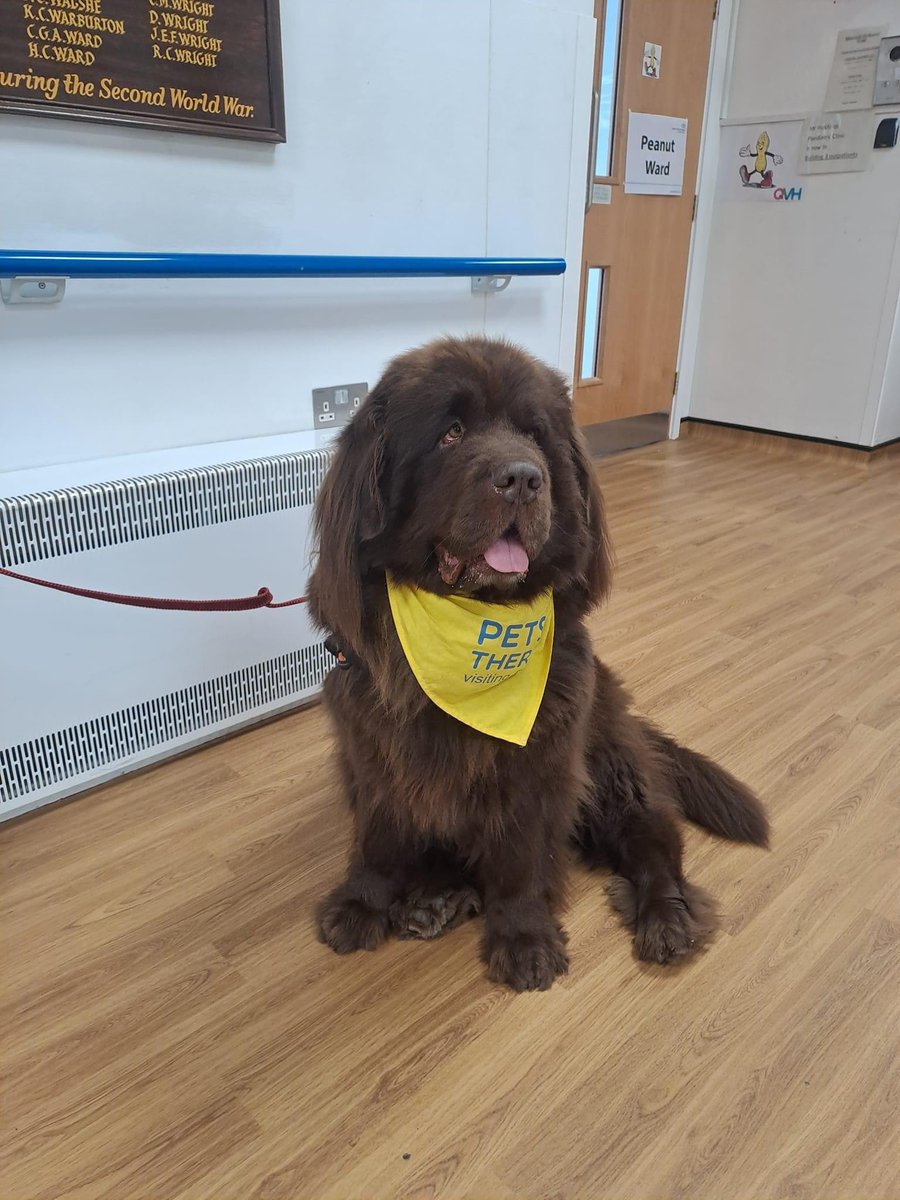 It’s #NationalPuppyDay so a shameless opportunity for us to share a doggy picture! Let us introduce you to Boo! Not strictly a puppy but Boo is a much adored member of our volunteering team and a trained pets as therapy dog providing support to patients (and loved by our staff!)