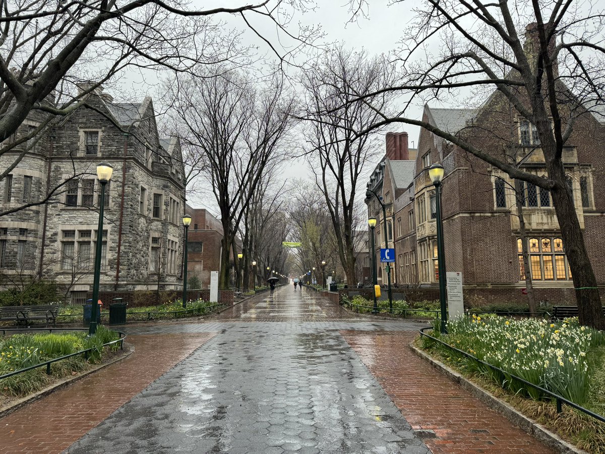 the_transit_guy's tweet image. If the public realm of our low traffic neighborhoods looked like college campuses, we wouldn’t feel as isolated.