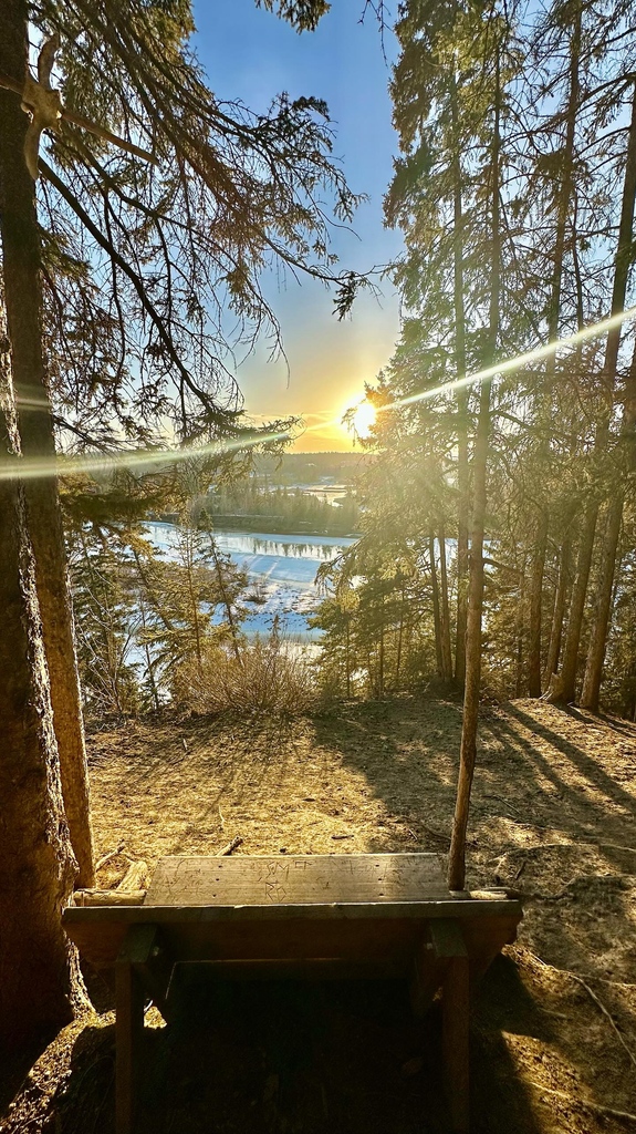 No matter the season, Red Deer shines! Did you know Red Deer has over 100kms of trails winding through the city? Thanks to @running_reimer for sharing this spectacular sunset shot from our beautiful McKenzie Trails.