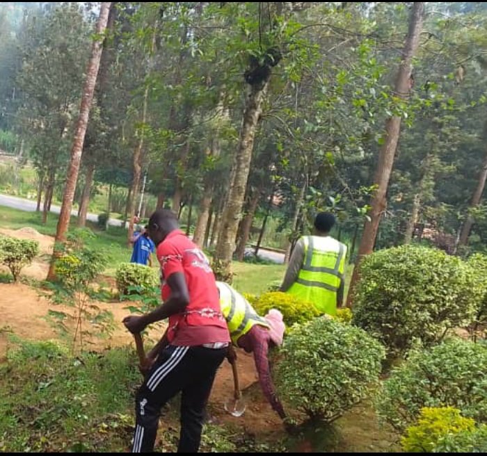 Cyabingoyouthvo's tweet photo. Uyu Munsi  urubyiruko rw'abakorerabushake mu murenge wa Cyabingo rwabyukiye mu gikorwa cyo gukora isuku  ahahoze urwibutso rwa #Mukinga

Nyuma y'umuganda Urubyiruko rwahawe ikiganiro kivuga" gukumira no kurwanya ingengabitekerezo ya genocide" @RYVCPGakenke https://t.co/8ed2NS4IPR