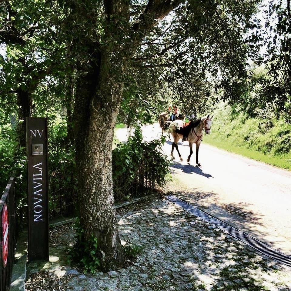 Novavila Design Wine Hotel (@desingwine) on Twitter photo 