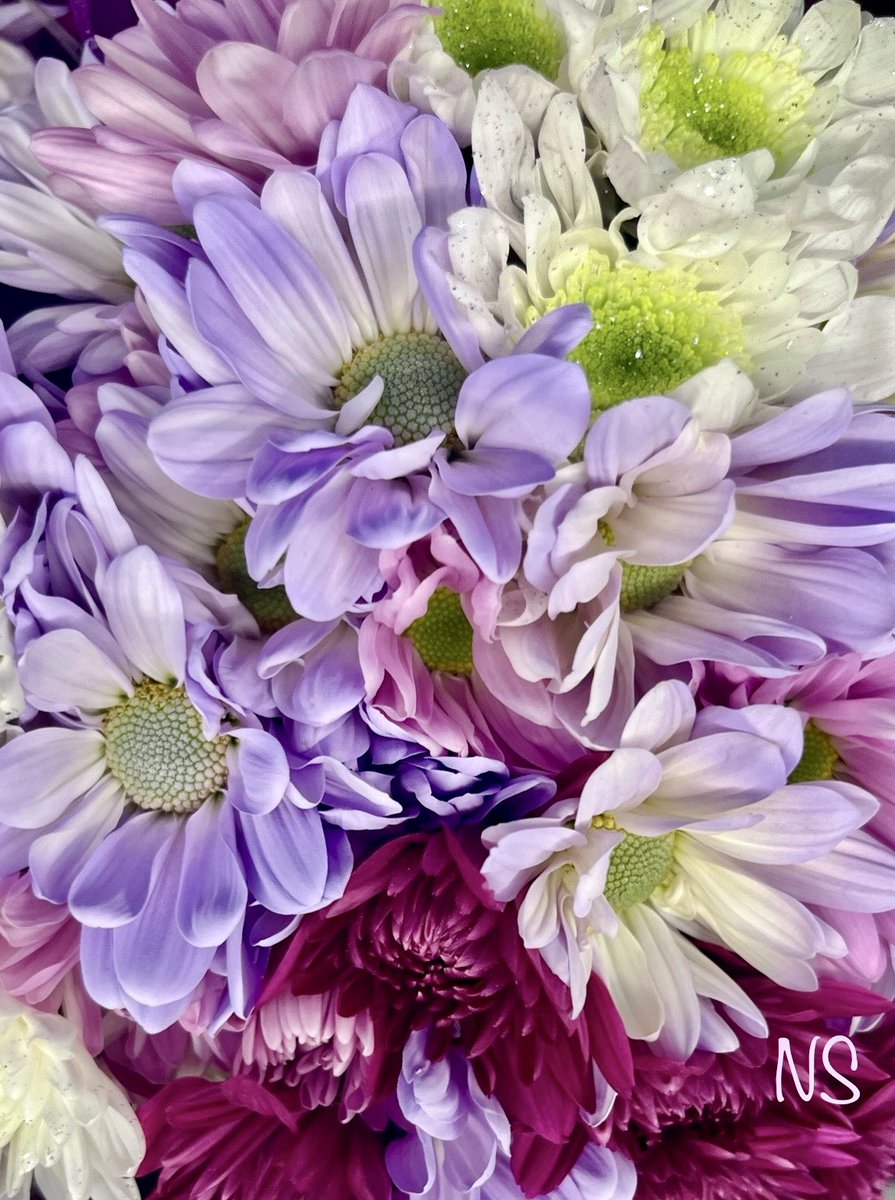 There's a reason we don't see the world in black and white.

~Celerie Kemble🪸

#HappyWeekend 
#PeaceAndLove 🕊️