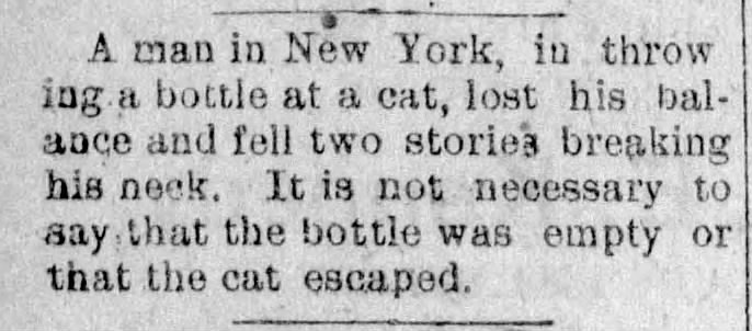 This week's #Caturday scorecard: Man in New York: 0 (!) Cat in New York: 1 (Vallejo Times Herald 1891, via @_newspapers)