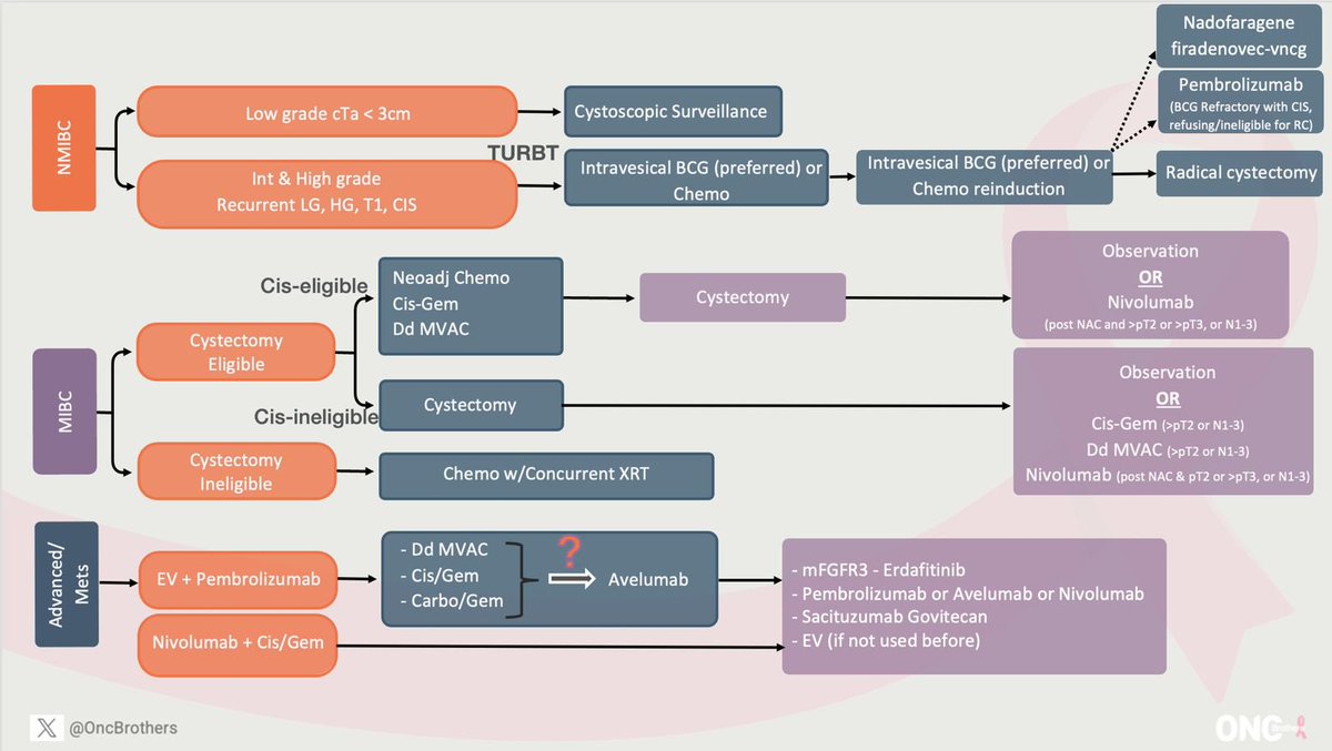 This is the updated #Algorithm for #BladderCancer. Nivo/Gem/Cis was not approved at the time of this discussion w/ @DrKarineTawagi and @siadaneshmand but has been incorporated in this is mage below. #OncTwitter #MedTwtitter #gusm #MedEd @CancerNetwrk #OncEd