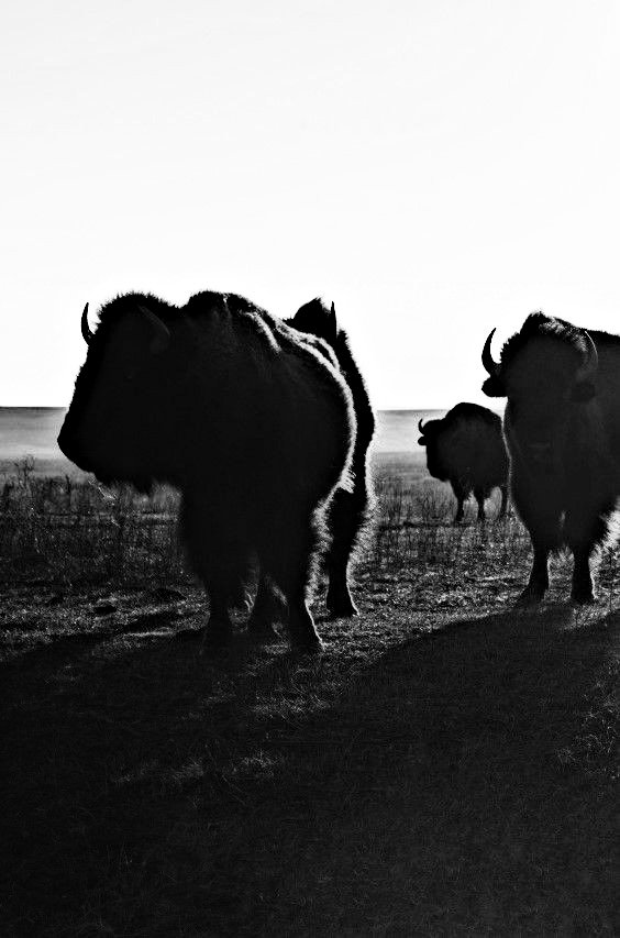 ᅠᅠ
ᅠᅠ
ᅠᅠ
… 𝓣he day that the Lord has made.