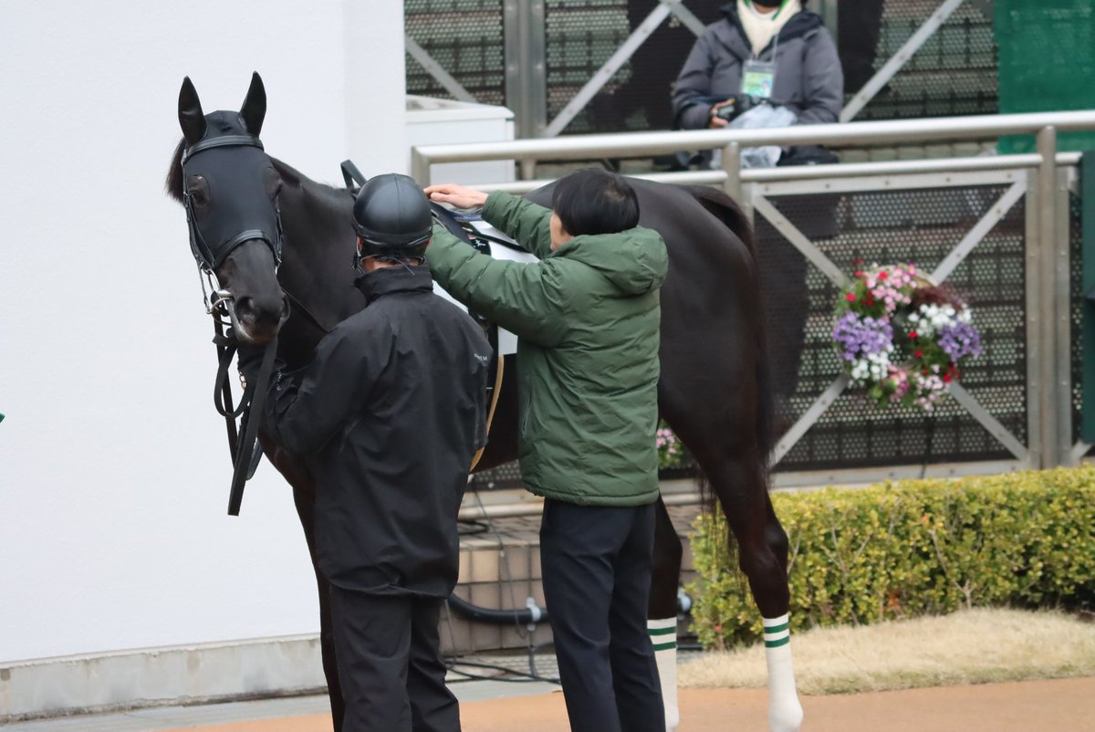 HiyoshiPocket's tweet photo. 2024年3月23日
#メテオールライト
#戸崎圭太
#シルクレーシング
#MeteorLight
#4歳上2勝クラス
#中山競馬場 https://t.co/DOwUHQ31h1