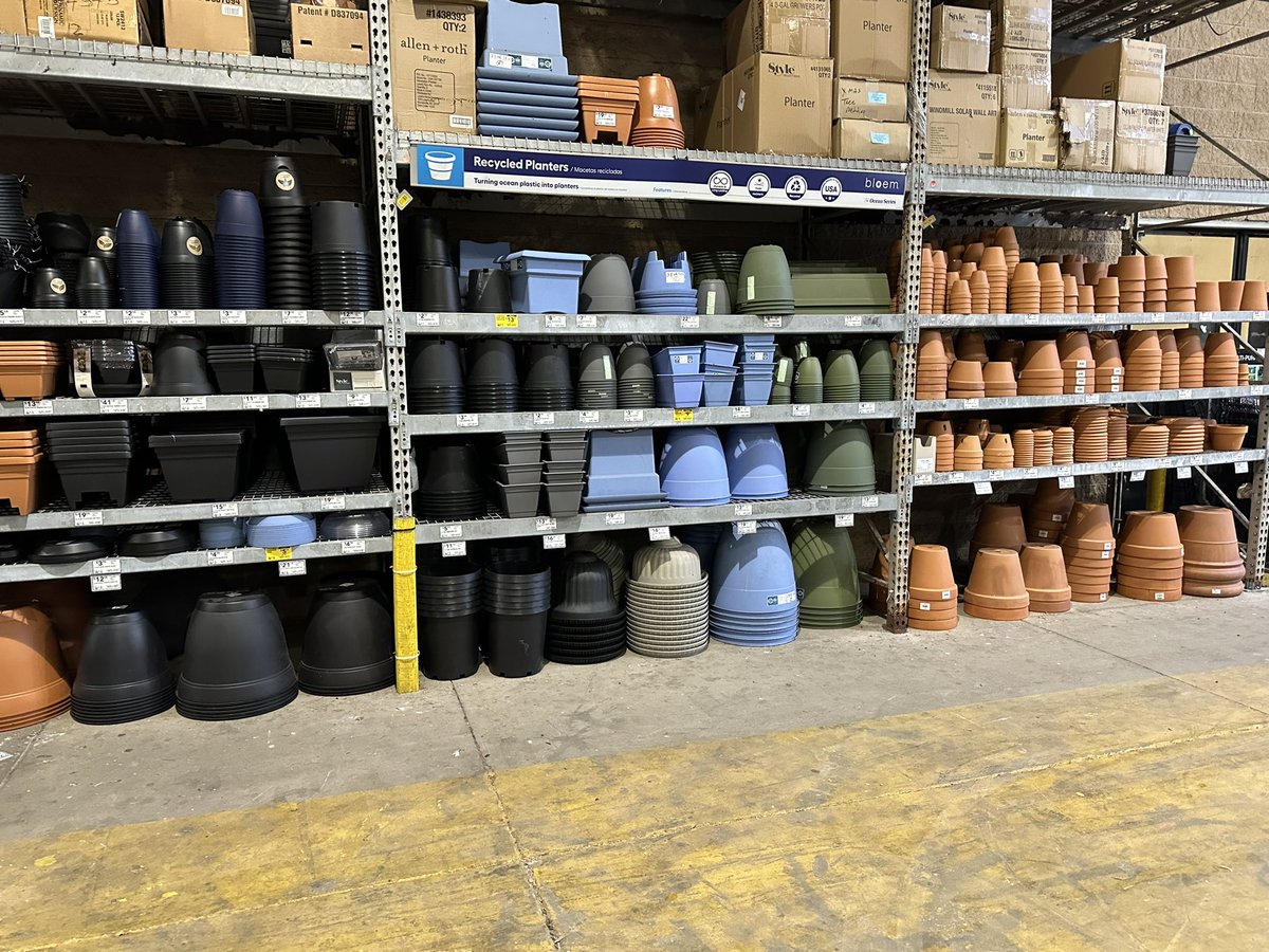 Curtis Ingram tweet media