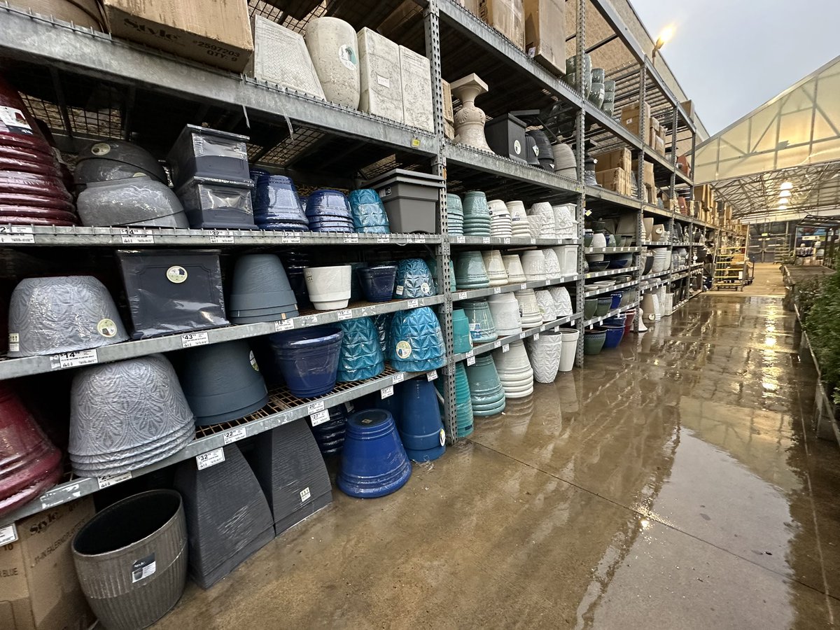 Curtis Ingram tweet media