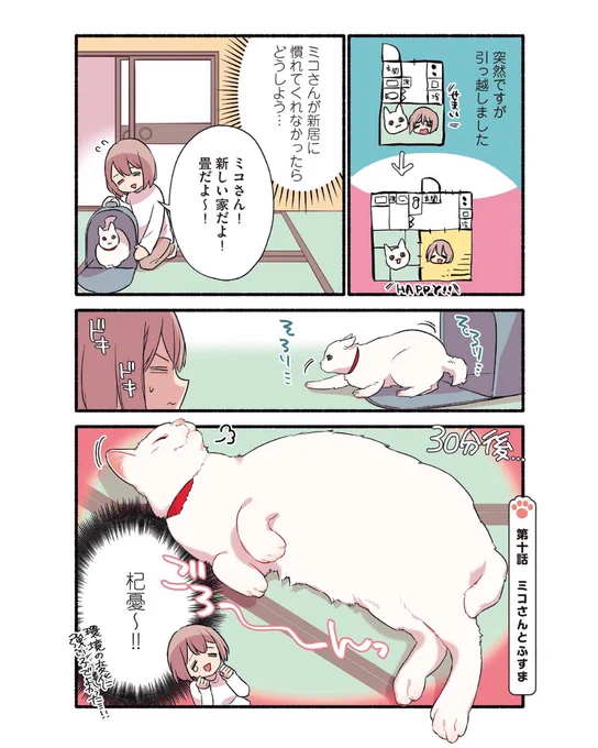 構われたすぎてできないフリをする猫の話
(1/2)
 #漫画が読めるハッシュタグ
 #愛されたがりの白猫ミコさん 